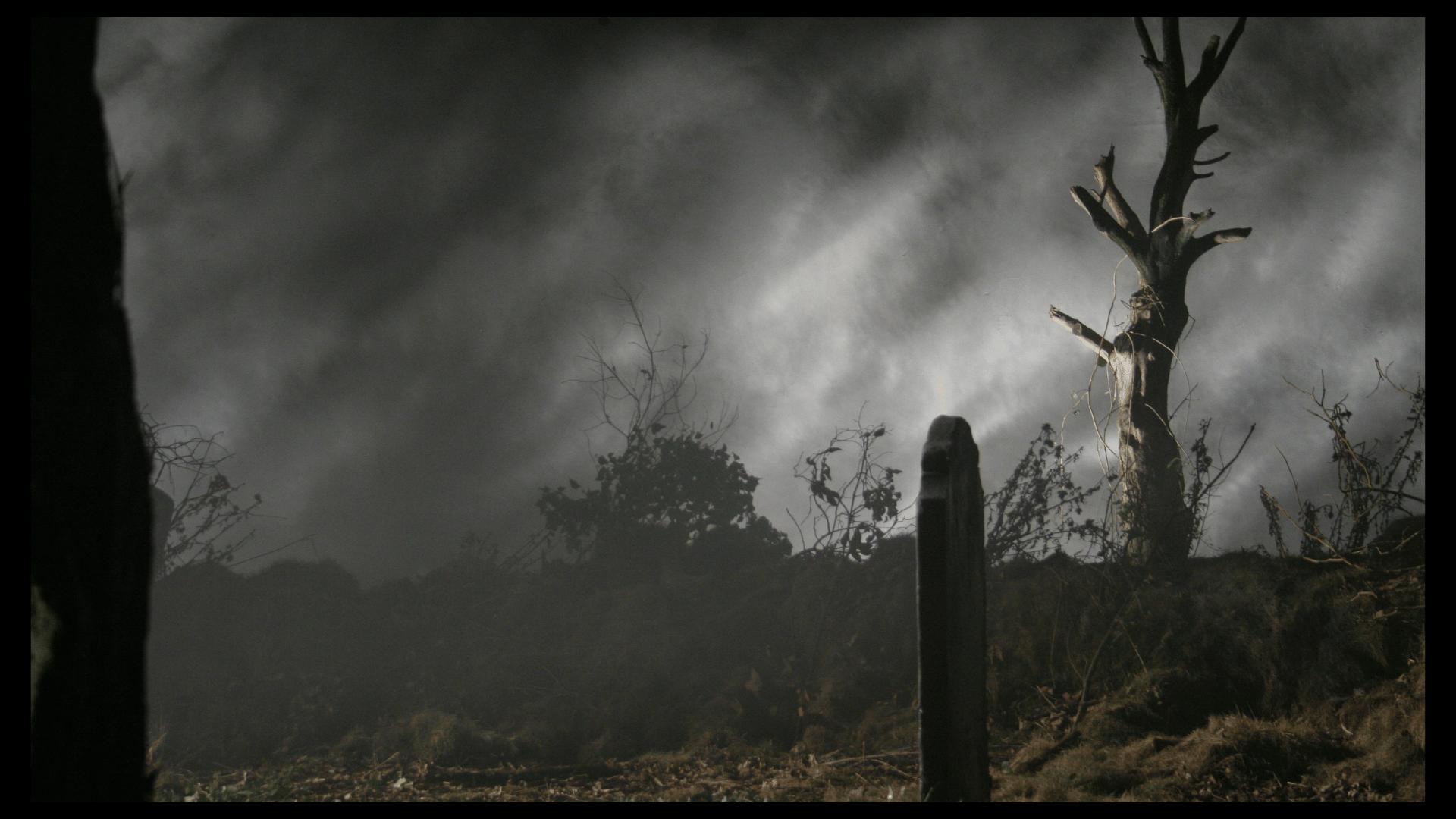 10 Wonderful World Of Death - WWOD